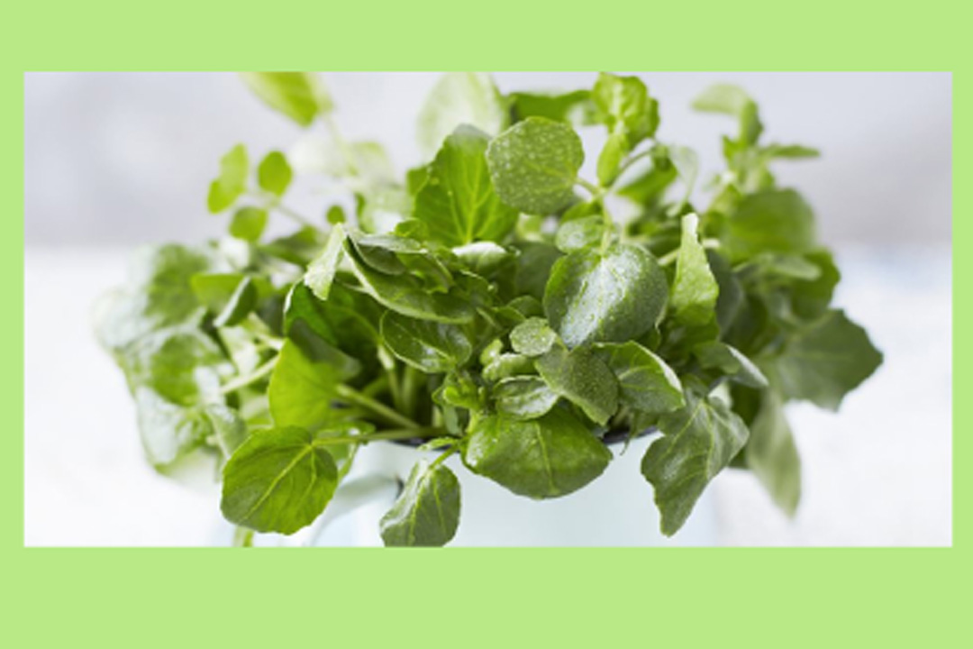 Ingredient Profile: Watercress