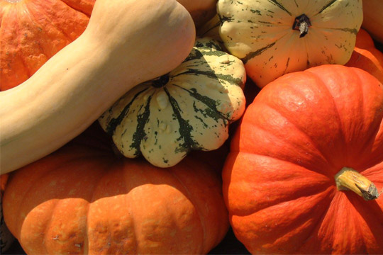 Fall Butternut Squash Bisque Recipe