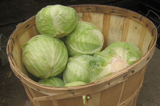 Punjabi Cabbage Recipe