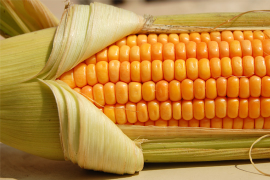 Grilled Corn, Heirloom Tomato and Chickpea Salad Recipe