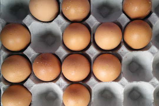 Savvy Consumer: Deciphering Egg Labels