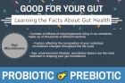 Infographic: Gut Health