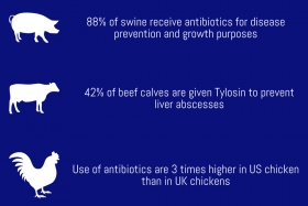 Antibiotic Use in Livestock