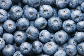 Q: What is an Antioxidant? What are Some Good Sources of Antioxidants?