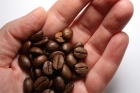 5 Things You Probably Didn’t Know About Coffee