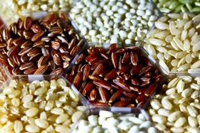 Exploring the Future of Food: Rethinking Ancient Grains