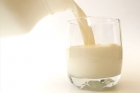 Q: Which Milk is Best? Analyzing Milk and Milk Substitutes