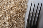 South American Quinoa Salad Recipe