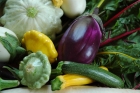 Quick! There’s Still Time to Enjoy the Benefits of Summer Squash