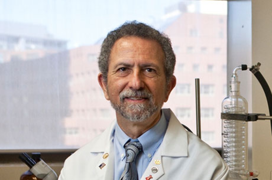 Jeffrey B. Blumberg, PhD, FASN, FACN, CNS