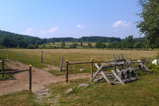 Pastures at Hawthorne Valley Farm